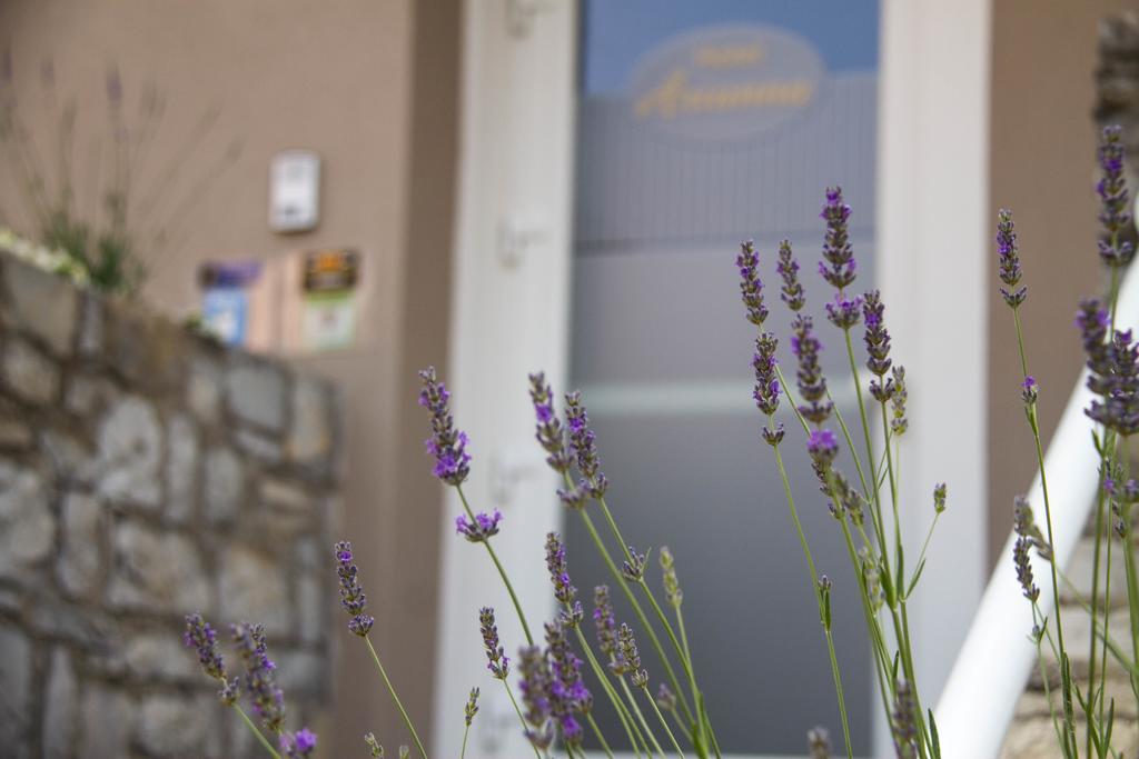 Hotel Arianna อีเซโอ ภายนอก รูปภาพ